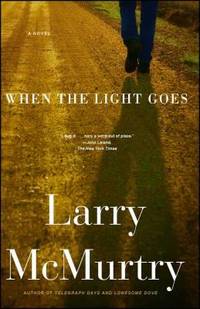 When the Light Goes : A Novel