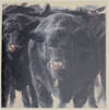 James Wyeth: Recent Paintings