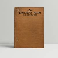 image of The Enormous Room