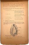 View Image 4 of 4 for Basic Training Notes Bakery School -- Baking at Camp Lee in 1943 Inventory #22003891