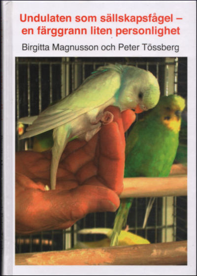 UNDULATEN SOM SÄLLSKAPSFÅGEL - en färggrann liten…