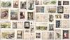 Original Archive of Childhood and...; (photo 0)