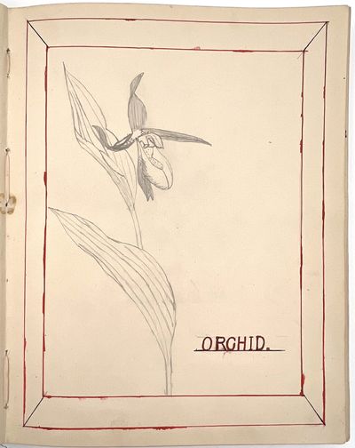 Original Archive of Childhood and...; (photo 109)