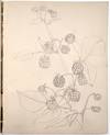 Original Archive of Childhood and...; (photo 123)