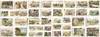 Original Archive of Childhood and...; (photo 4)