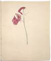 Original Archive of Childhood and...; (photo 97)