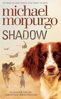 Shadow