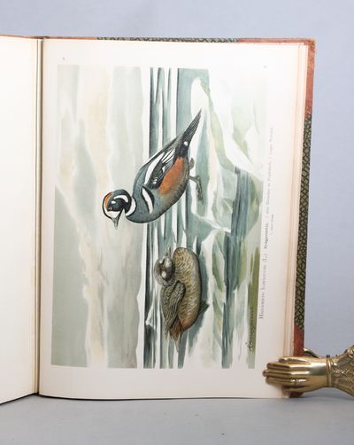 Naturgeschichte der Vögel Mitteleuropas. Neu bearbeitet von ... Herausgegeben von Dr. Carl R. hennicke in Gera. 12 volumes. (photo 3)