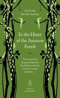In the Heart of the Amazon Forest