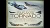 Panavia Tornado: Strike, Anti-Ship, Air Superiority, Air Defence, Reconnaissance and Electronic Warfard Fighter-Bomber (Profiles of Flight Series)