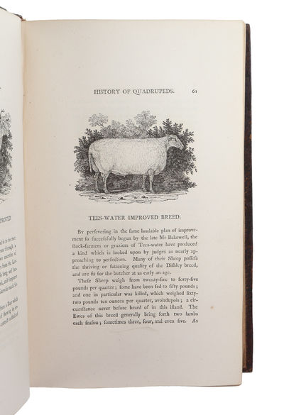 A General History of Quadrupeds. The Figures engraved on Wood by T. Bewick. The fourth edition. (photo 2)