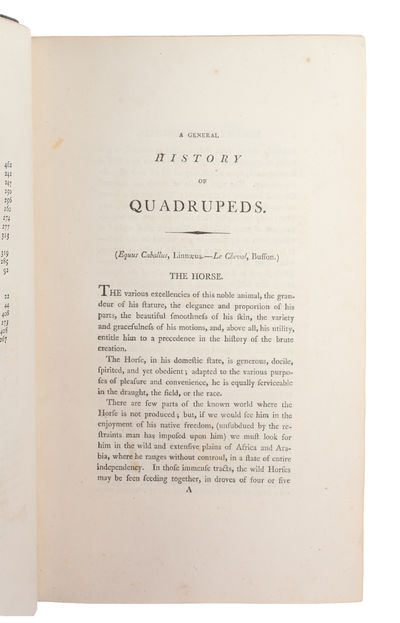 A General History of Quadrupeds. The Figures engraved on Wood by T. Bewick. The fourth edition. (photo 5)