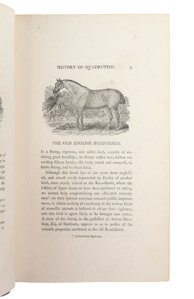 A General History of Quadrupeds. The Figures engraved on Wood by T. Bewick. The fourth edition. (photo 6)