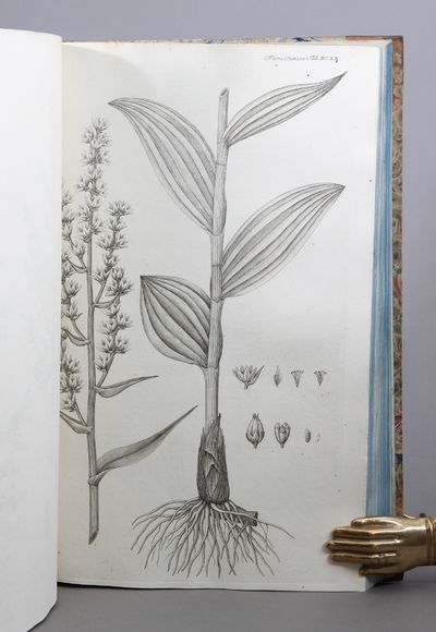 Icones plantarum sponte nascentium in regis Daniæ et Norvegiæ in ducatibus Slesvici et Holsatiæ et in comitatibus Oldenburgi et Delmenhorstiæ: Ad illustrandum opus de iisdem plantis, regio jussu exarandum Floræ Danicæ nomine inscriptum. Edited by Georg Christian Oeder, Otto Friederich Müller, Martin Vahl, Jens Wilken Hornemann, Salomon Drejer, Joakim Frederik Schow, Jens Vahl, Frederik Liebmann, Japetus Steenstrup and Johan Lange. 49 parts (of 51) and 3 supplement parts in 19 volumes. (photo 2)