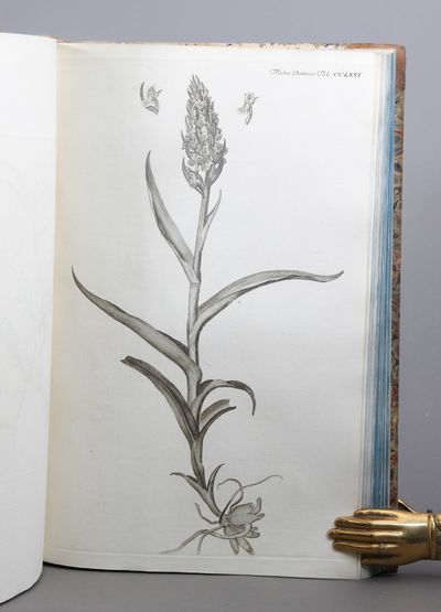 Icones plantarum sponte nascentium in regis Daniæ et Norvegiæ in ducatibus Slesvici et Holsatiæ et in comitatibus Oldenburgi et Delmenhorstiæ: Ad illustrandum opus de iisdem plantis, regio jussu exarandum Floræ Danicæ nomine inscriptum. Edited by Georg Christian Oeder, Otto Friederich Müller, Martin Vahl, Jens Wilken Hornemann, Salomon Drejer, Joakim Frederik Schow, Jens Vahl, Frederik Liebmann, Japetus Steenstrup and Johan Lange. 49 parts (of 51) and 3 supplement parts in 19 volumes. (photo 3)