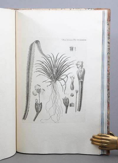 Icones plantarum sponte nascentium in regis Daniæ et Norvegiæ in ducatibus Slesvici et Holsatiæ et in comitatibus Oldenburgi et Delmenhorstiæ: Ad illustrandum opus de iisdem plantis, regio jussu exarandum Floræ Danicæ nomine inscriptum. Edited by Georg Christian Oeder, Otto Friederich Müller, Martin Vahl, Jens Wilken Hornemann, Salomon Drejer, Joakim Frederik Schow, Jens Vahl, Frederik Liebmann, Japetus Steenstrup and Johan Lange. 49 parts (of 51) and 3 supplement parts in 19 volumes. (photo 4)