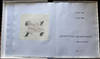 Petrificada Petrificante. Portfolio with 8 original etchings by Antoni Tapies. 1978.