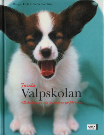 FÖRSTA VALPSKOLAN. Allt du behöver veta för att…