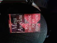 image of Wouldn't take nothing for my journey now