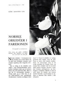 Norske orkidéer i faresonen.