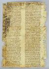 TEXT FROM HOMILY XXII, FOR EASTER SUNDAY