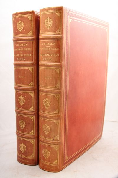 Illuminerade figurer till Skandinaviens fauna,…