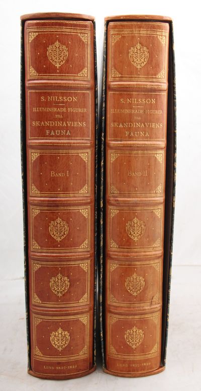 Illuminerade figurer till Skandinaviens fauna, med text. I-II. (photo 2)