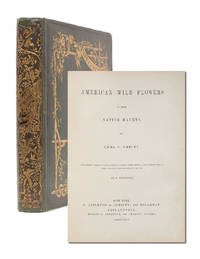 American Wild Flowers in their Native Haunts