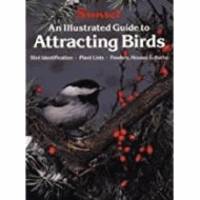 An Illustrated Guide to Attracting Birds