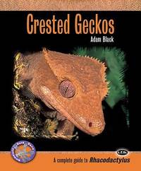 Crested Geckos : A Complete Guide to Rhacodactylus