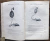 View Image 4 of 6 for Catalogue of Surgical Instruments and Appliances Inventory #28897