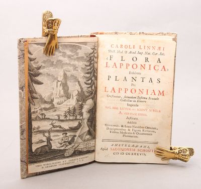 Flora Lapponica, exhibens plantas Per Lapponiam…