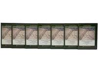 Classics of American Literature, in 7 Parts (The Great Courses) (7 Volumes of Audio CDs)