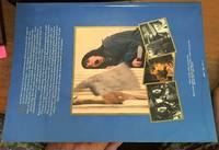 image of the Warner Bros. Story