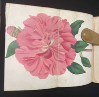 Paxton's Magazine of Botany, and Register of Flowering Plants. (Volume 3)