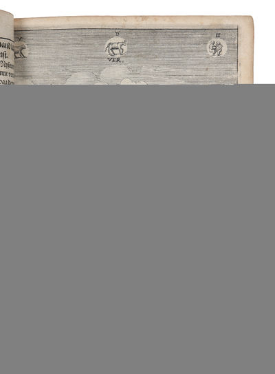 Flora Danica Det er: Dansk Urtebog: Vdi huilcken, efter hans Kongl: Mayst... høylofligst Ihukommelse Christiani IV....skriftlig Befalning til Facultatem Medicam, udi det Kongelig Universiteet Kiøbenhafn, icke alleeniste Vrternes Historiske Beskrifvels... - [FIRST DANISH ILLUSTRATED HERBAL] (photo 4)