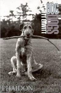 Dog Dogs