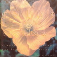 The Color Garden (Yellow) : Single Color Plantings for Dramatic Landscapes. by Elvin McDonald - First Printing - 1995 - from tuckerstomes (SKU: 6028)