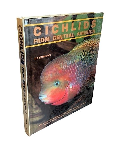 Cichlids from Central America　熱帯魚 Cichlids from Central America by AD Konings | Hardcover