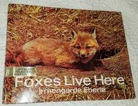 FOXES LIVE HERE