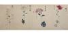 A large-format scroll on paper, entitled on manuscript paper label on outside “Tsukuri giku oyoso sanjuppin” 作菊 凡 三十品 (“Cultivating Chrysanthemums, About 30 Varieties”), containing 30 colorful displays of the flower