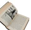 View Image 8 of 8 for Moby Dick Inventory #140947779