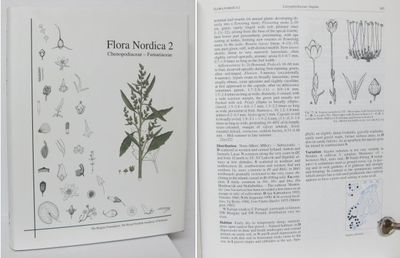 Flora Nordica 2. Chenopodiaceae - Fumariaceae.