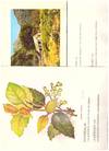 JOURNAL JAARBLAD 2 issues.