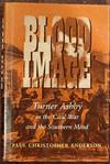 Blood Image: Turner Ashby in the Civil War and the Southern Mind (Conflicting Worlds)