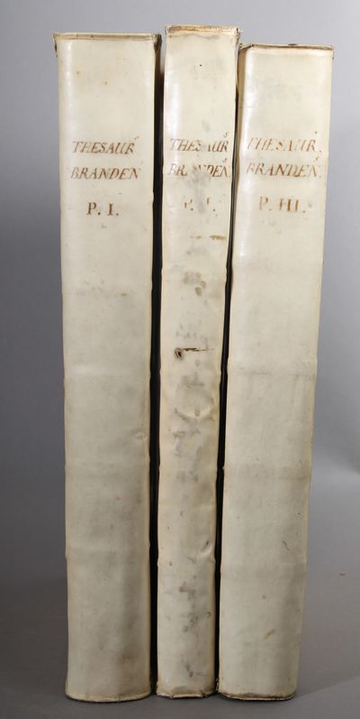 Thesaurus Brandenburgicus Selecturs: Sive…
