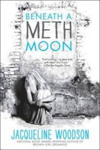 image of Beneath a Meth Moon