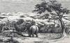 The large and small game of Bengal and the north-western provinces of India
