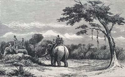 The large and small game of Bengal and the north-western provinces of India
