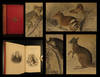 The Naturalist’s Library, Mammalia… Marsupialia or Pouched Animals.